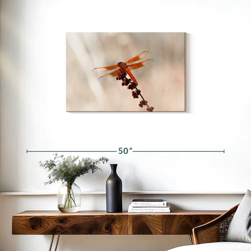 Chlorogomphus Dragonfly, 20" H x 30" W
