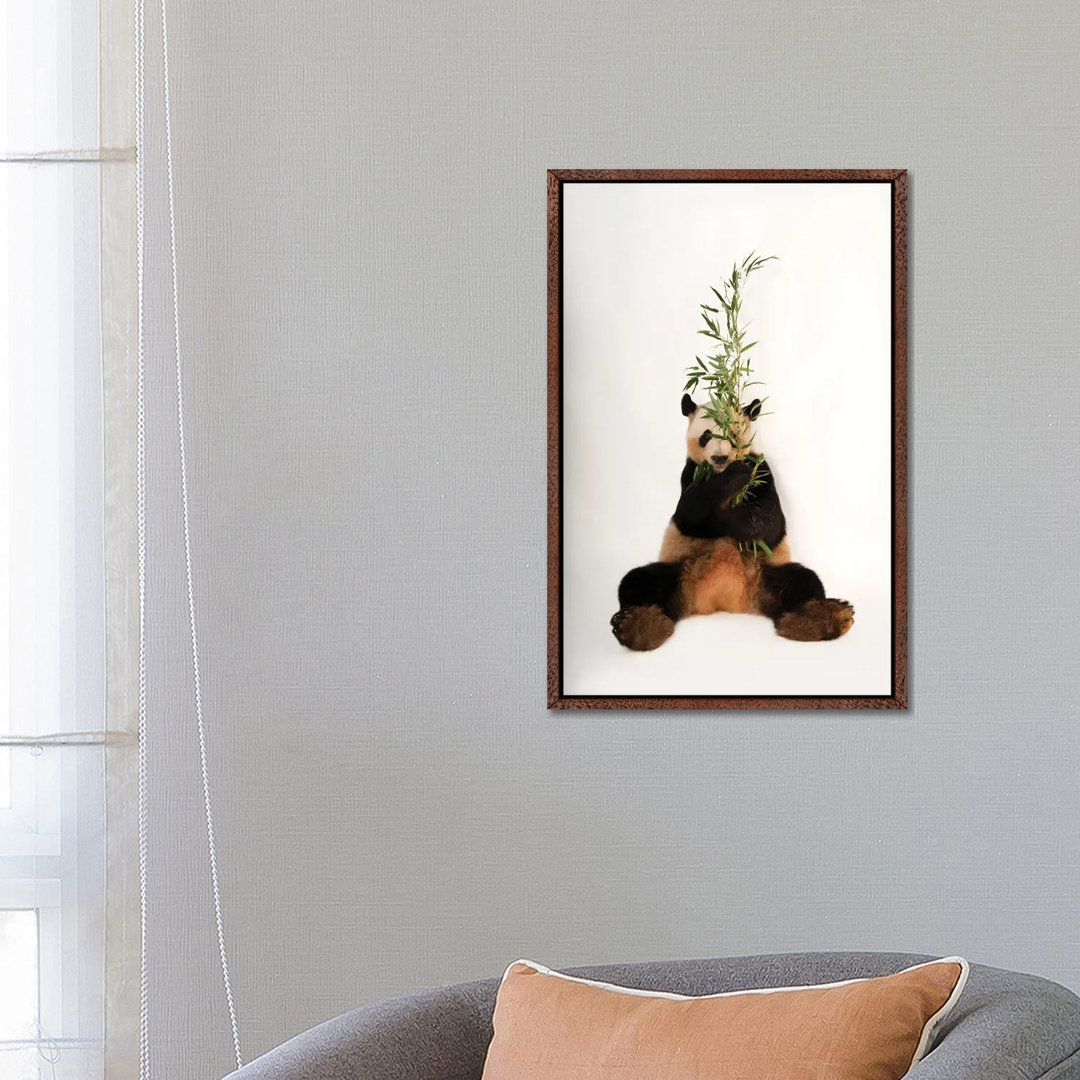 A Giant Panda At Zoo Atlanta I von Joel Sartore - Gallery-Wrapped Canvas Giclée on Canvas