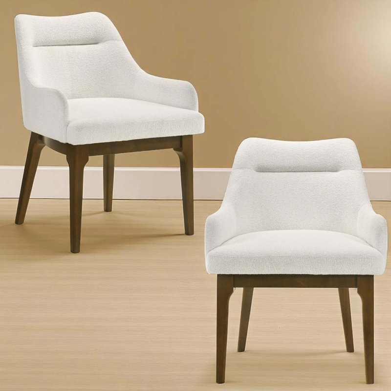 Ensemble de chaises Kasha Chenille & Vintage (ensemble de 2)