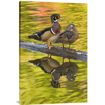 " Wood Duck Pair "