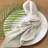 100% Cotton Square Napkin (Set Of 4)-512996131