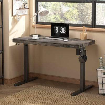 Caritta 48" Electric Height Adjustable Standing Desk with drawers