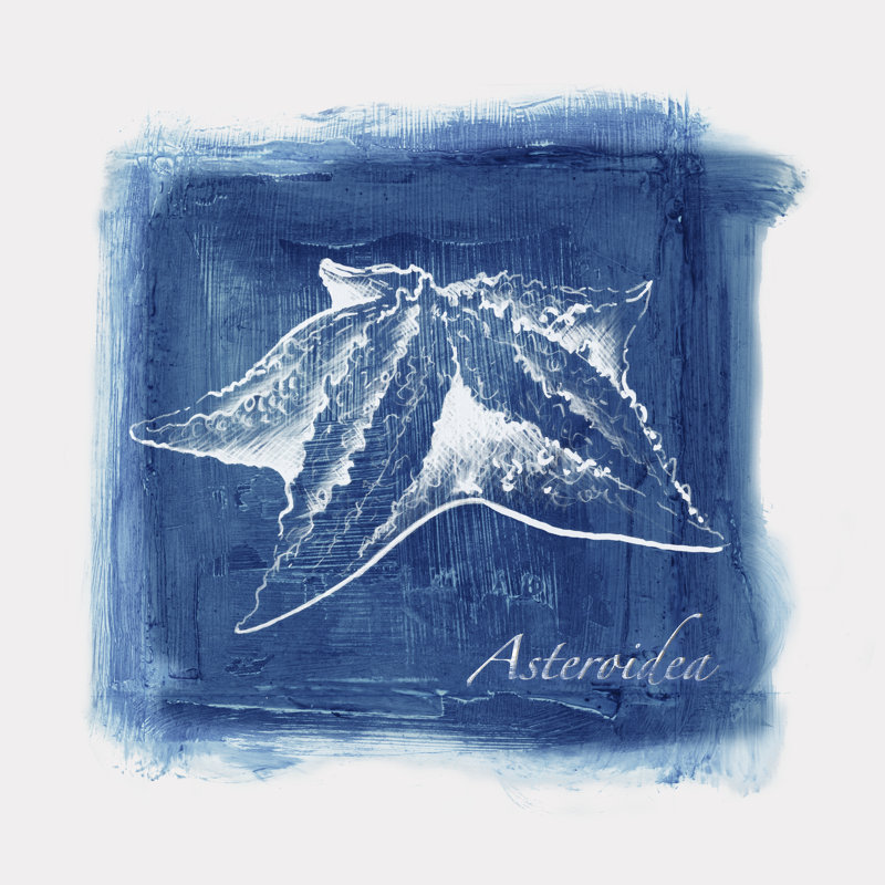 Calm Blue Ocean II sur toile par Eva Watts, reproduction, H 20 po x l 20 po