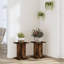 Haig Plant Stand 1 Tier-2027179072-2027179083