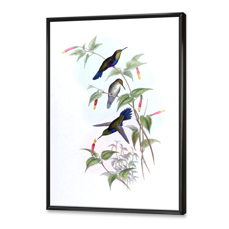 Colibri rétro I - peinture sur toile, H 32 po x l 16 po x P 1 po, Cadre flottant noir
