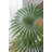 74.8'' Faux Fern Tree in Cement Pot