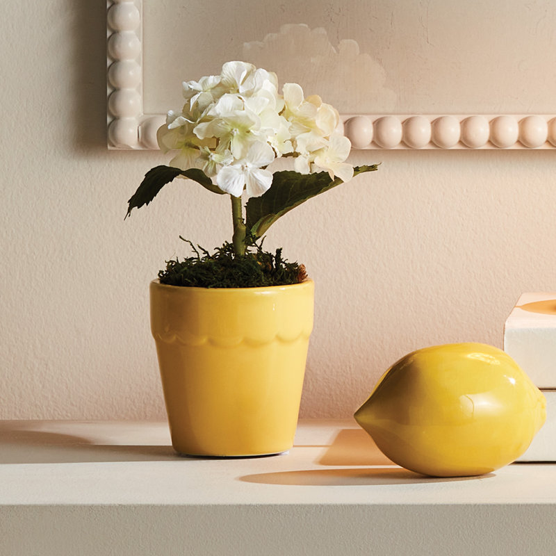 MINI CACHEPOTS MIRABELLE, ENSEMBLE DE 6, Jaune