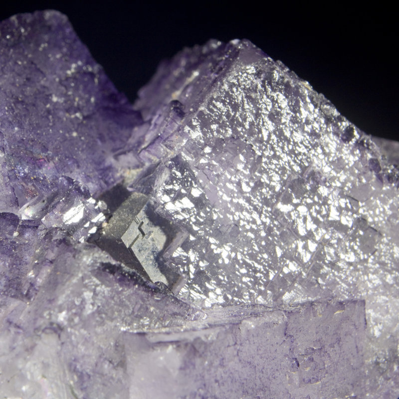 Courney Crystal