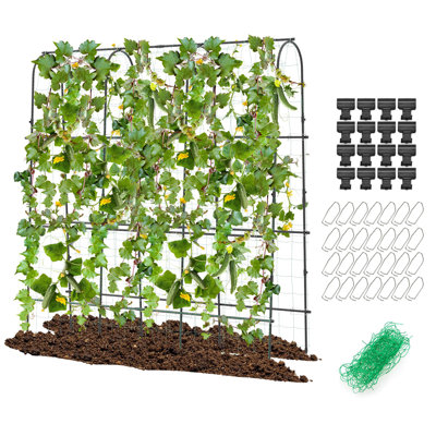 180cm H x 180cm W Metal Arched Trellis