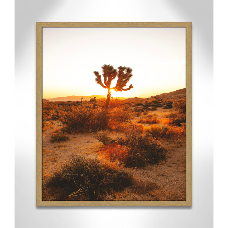 «Desert Dawn» par Joshua Earle - reproduction imprimée, H 25,5 po x l 21,5 po x P 0,75 po, Cadre naturel mince, Pas de tapis
