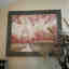 Customer photo 3 of 3