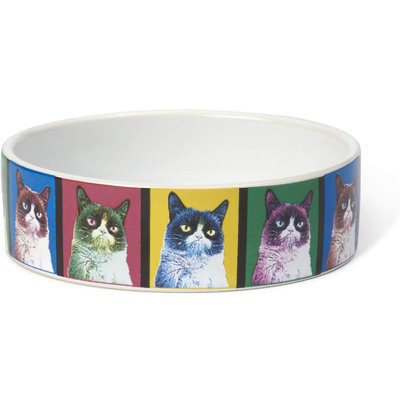 Bol d’art pour chat grumpy