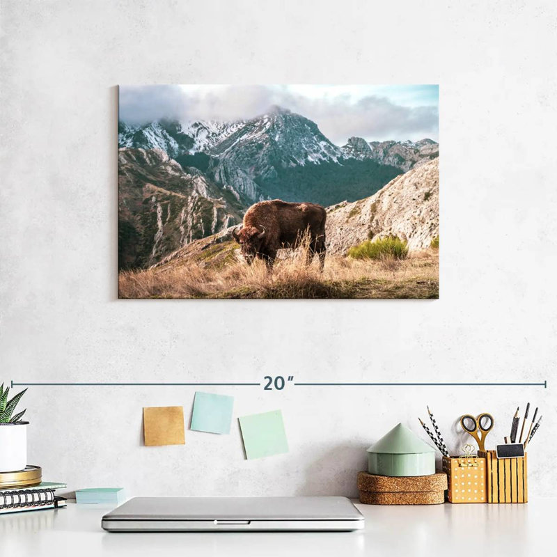 Brampt Bison Lost In The Mountains, 8" H x 12" W