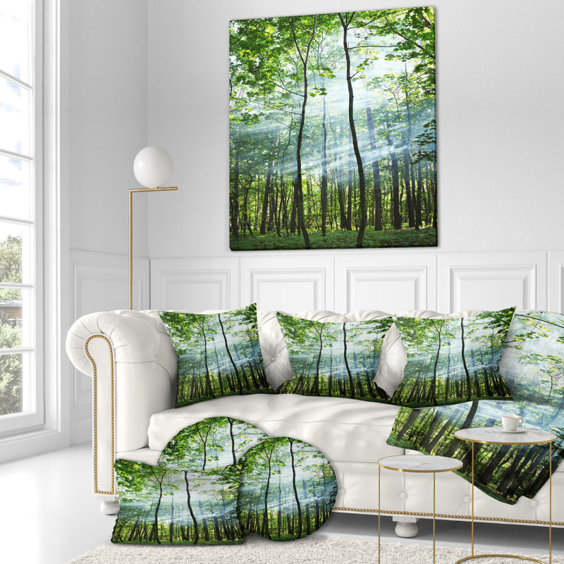 Coussin Schafer, Coussin décoratif, 16 po x 1 po