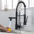 Fapully Pull Down Kitchen Faucet-61611593