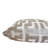 Myriad Velvet Throw Pillow Cover-101081514-101081510