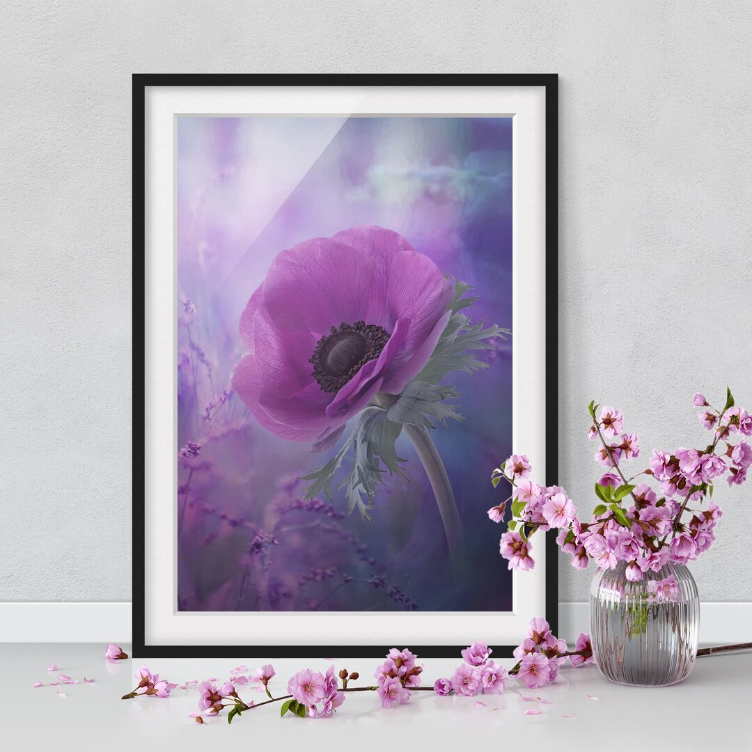 Gerahmtes Papierbild Anemonenblüte in Violett