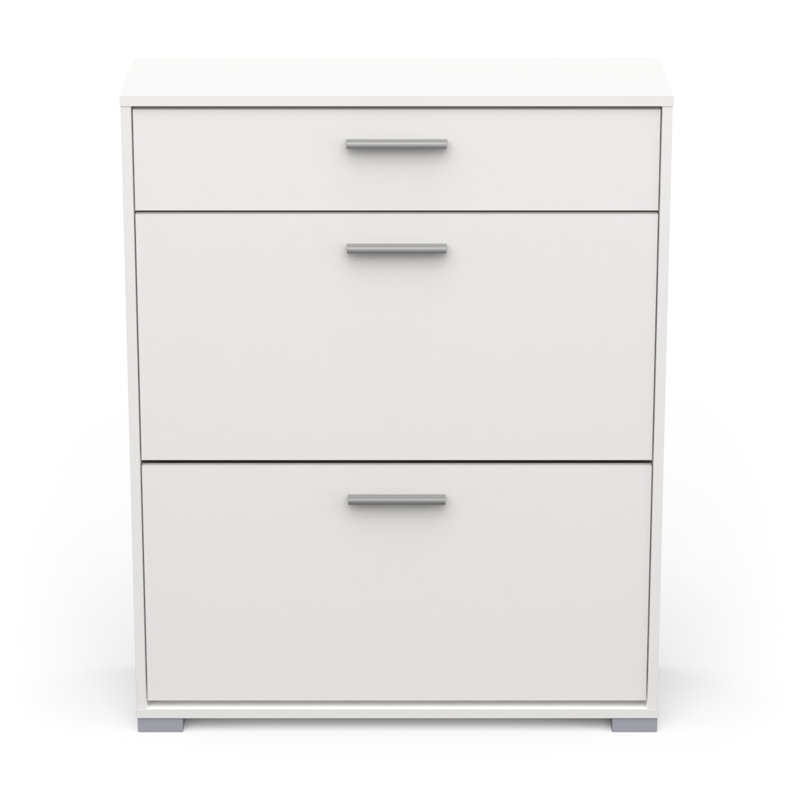 Barbaa 12 Pair Shoe Storage Cabinet