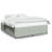 Latitude Run® Bed Frame Without Mattress  Velvet-800337733-798774091
