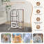 Aventura 118cm H Cat Tree-1538231917