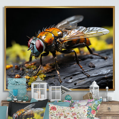 Insectes, insectes, portrait, superbe