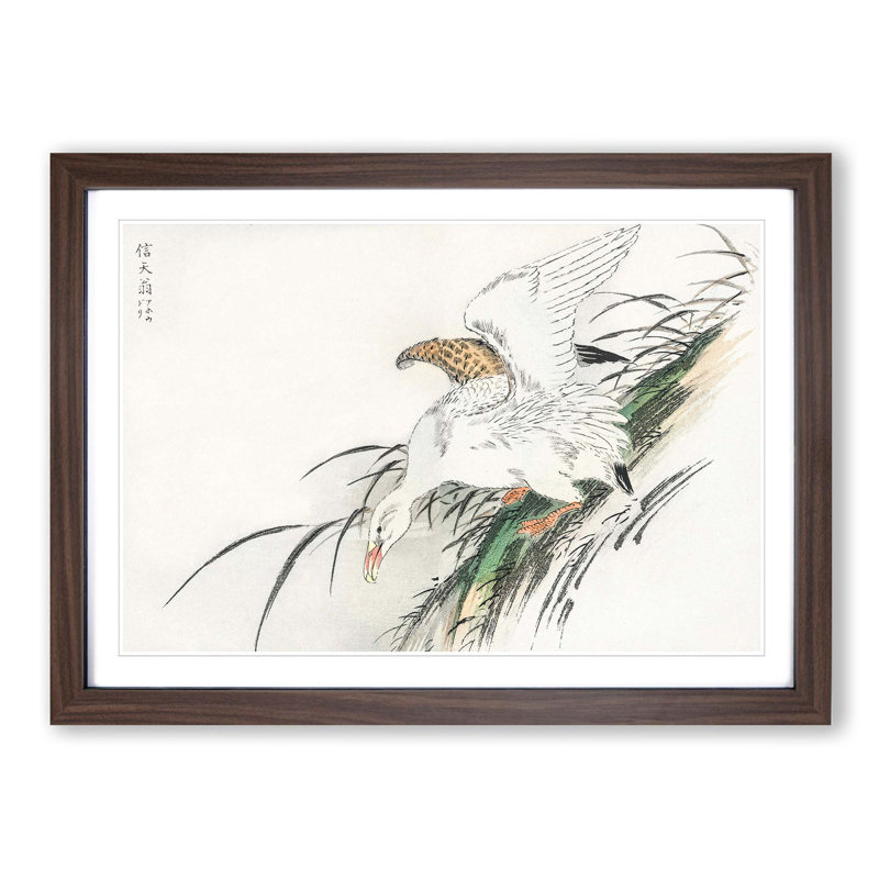 Albatross by Numata Kashu - Picture Frame Painting Print, Walnut Framed, 27cm H x 36cm W x 2cm D