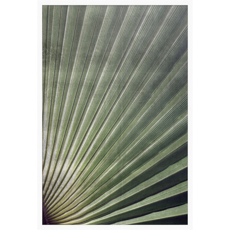 Palmetto 2