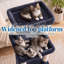 Cat Tree Tower, 130cm Tall with Extra Large Platform, Spacious Cat Condo, 2 Cozy Hammocks & Self-Grooming Brush, for Indoor Adult Cats & Maine Coon, Smoky Grey-1290062142
