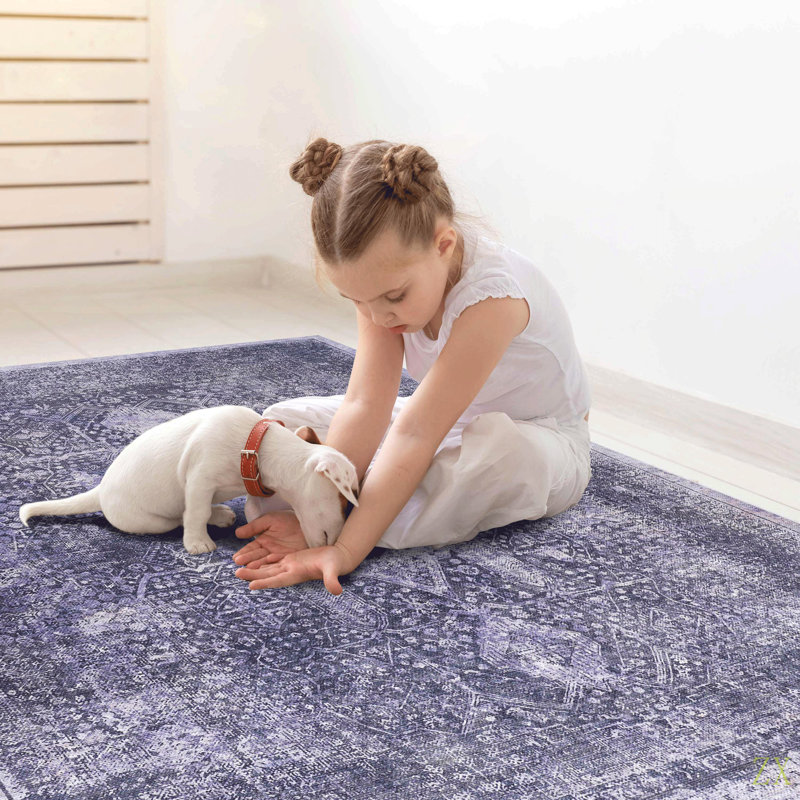 MAVAL  Washable Rug 4X6 Area Rug (4' X 6'), Rectangle 4' x 6'