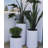 Paes Handmade Pot Planter-1989331834