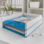 Wow Plastic Paper Organiser-50100108