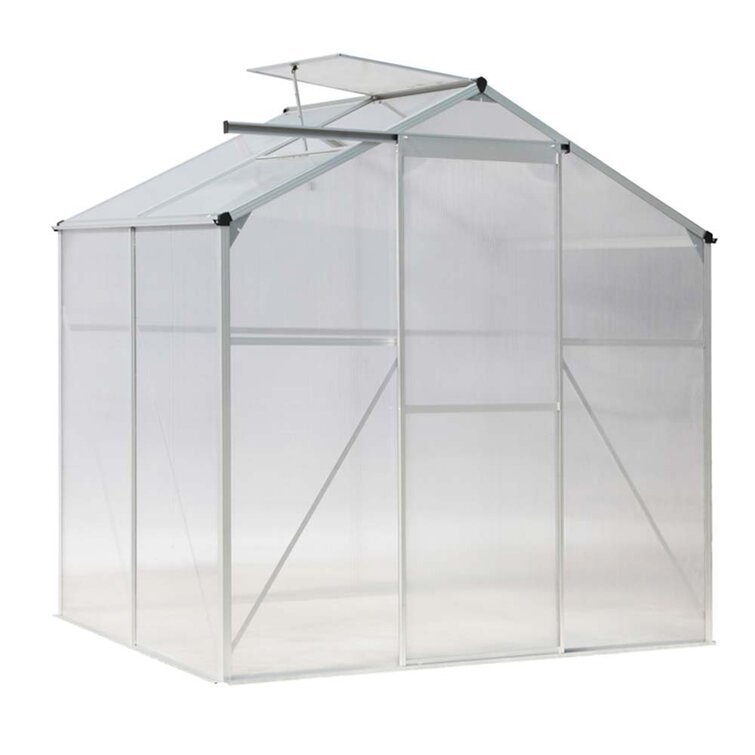 Dakota Fields Aiza 6Ft x 4Ft Greenhouse | Wayfair.co.uk