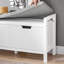 Benon Polyester Upholstered Storage Bench-2108996457