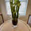 Customer photo 2 of 2