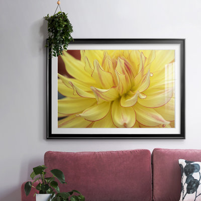 Blooms avec cadre en I et cadre biseauté mat et verre