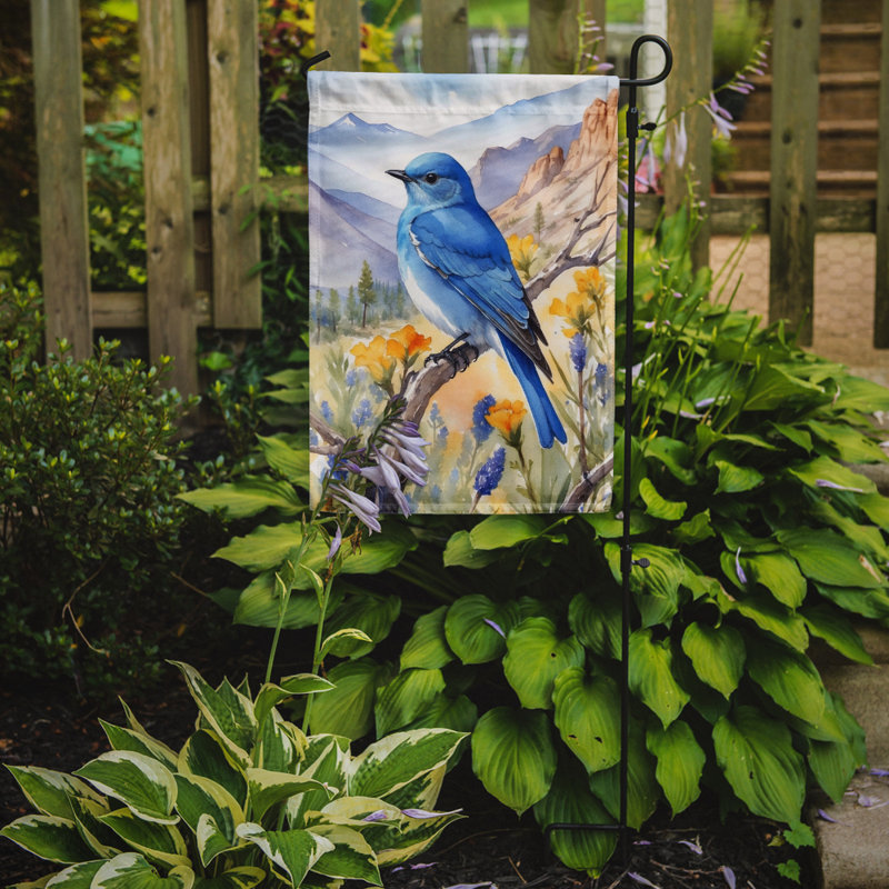Drapeau de jardin, Merlebleu azuré du Nevada