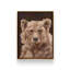 «Bushy Bear» par Cat Thurman Designs, reproduction d'art-1328498189-1328498187-1328498196