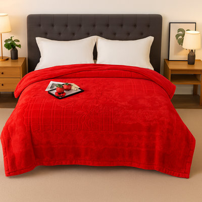 Warm Heavy Plush Mink Blanket, King