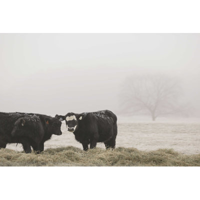 Farm Farm I