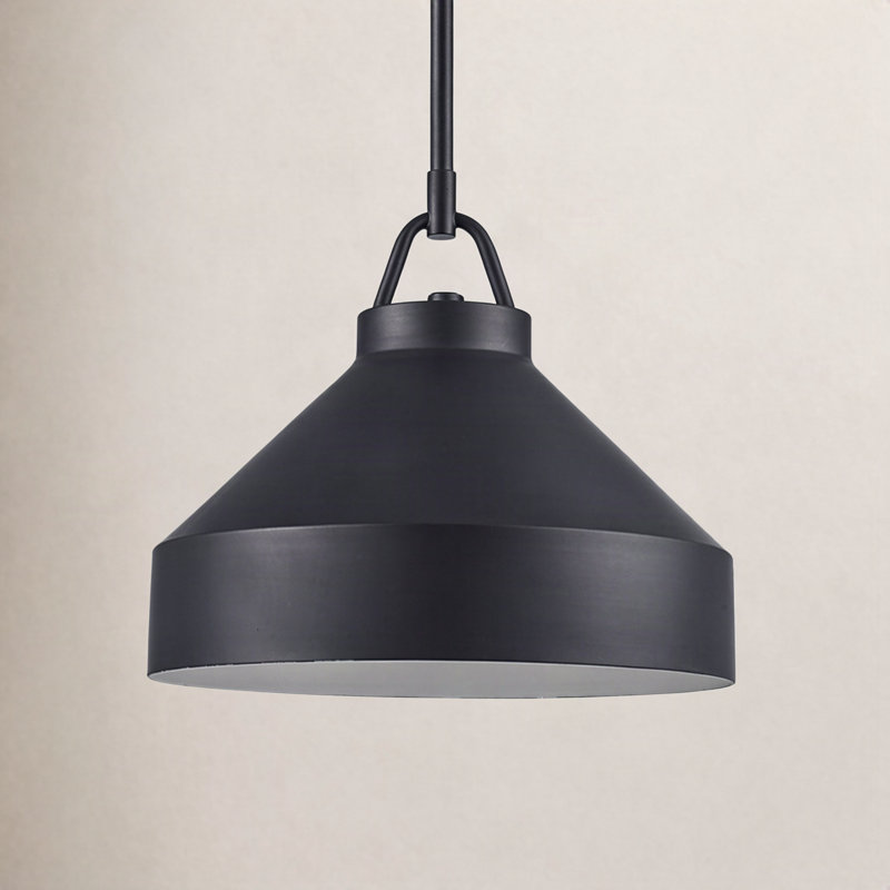 Orion 1 - Light Dome Pendant, Black, 49.25" H x 12" W x 12" D