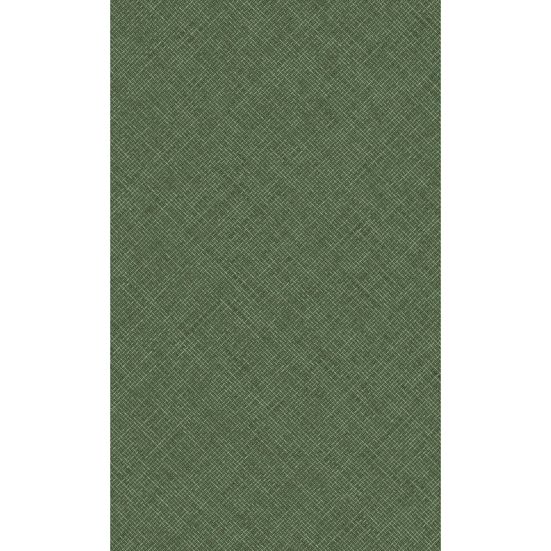 Mashud Plain 33'L x 21" W Wallpaper Roll, Green