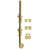 Polished Brass