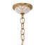 Century 28 - Light Glass Chandelier-13721094