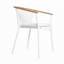 Outdoor Dining Armchair-70440778-121533317