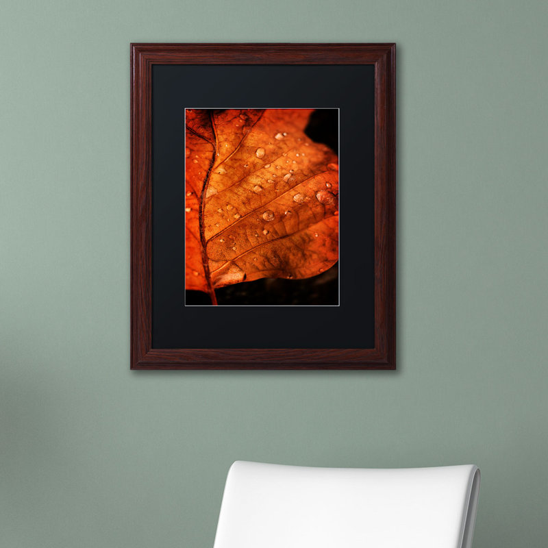 «Autumn Droplets» par Philippe Sainte-Laudy - reproduction de photo sur toile encadrée, H 14 po x l 11 po x P 0,5 po, Noir