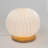 Solid Wood Globe Lamp