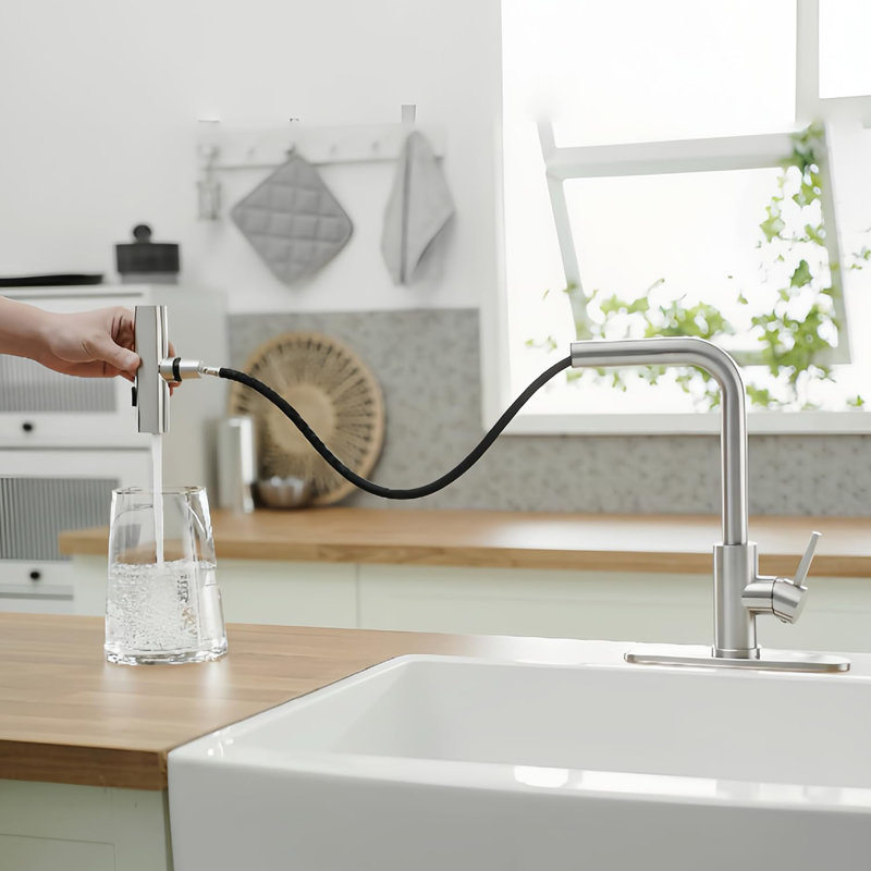 Kitchen Faucet with Pull Down Sprayer, Brushed