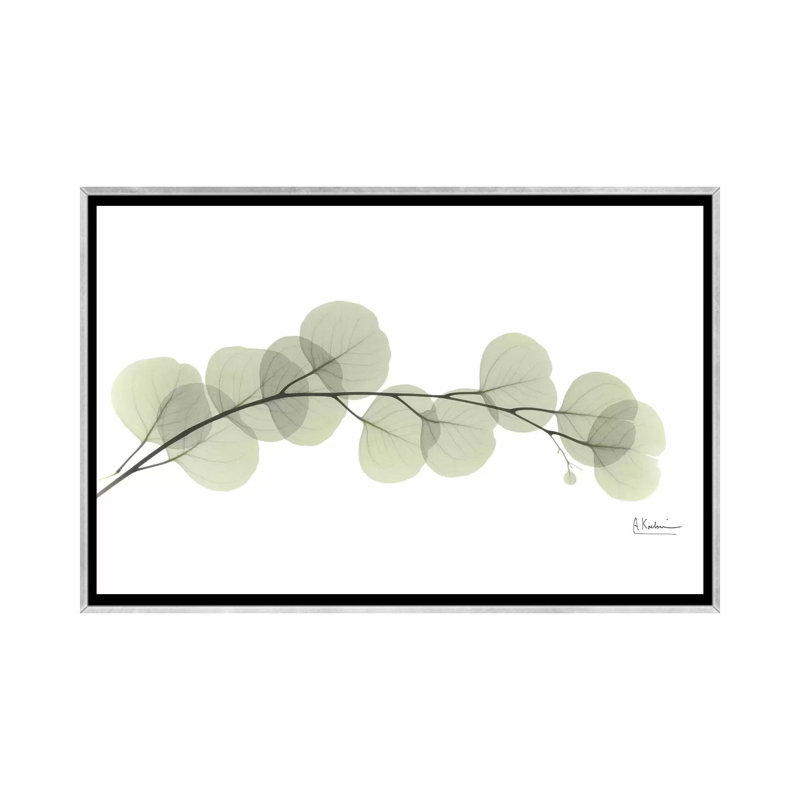 " Eucalyptus " by Albert Koetsier, 18" H x 26" W x 1.5" D, Silver Framed, No Mat
