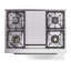Cuisinière à double combustible 36 ILVE Professional Plus II, 6 brûleurs scellés, plaque chauffante (graphite mat)-1489543343-1489543340