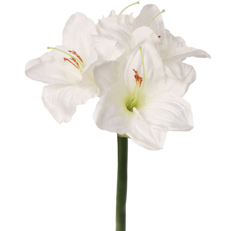 Arrangement floral Amaryllis